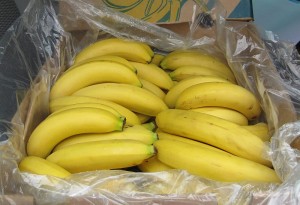 IMG_0964hp Wieviel sind sieben Tage auf dem Rad in Bananen?